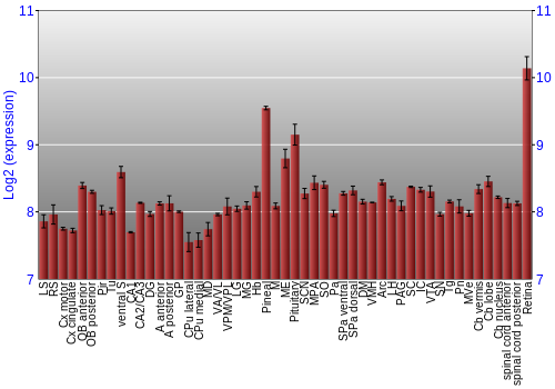 Expression graph