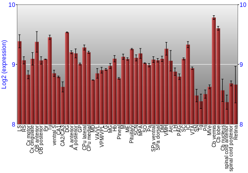 Expression graph