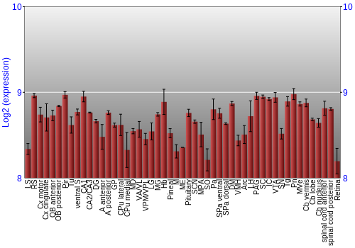 Expression graph