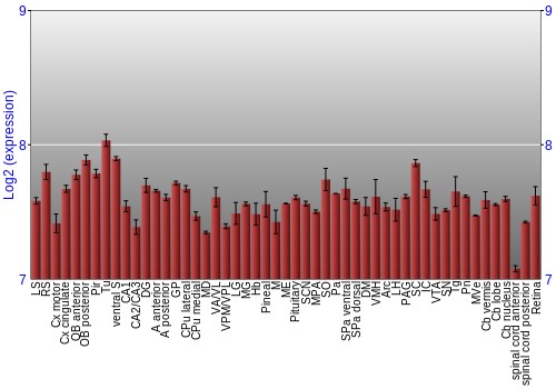Expression graph