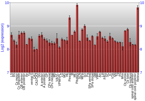 Expression graph