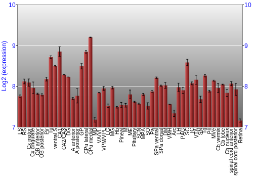 Expression graph