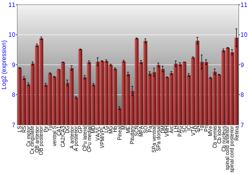 Expression graph