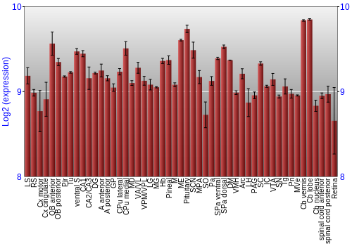 Expression graph