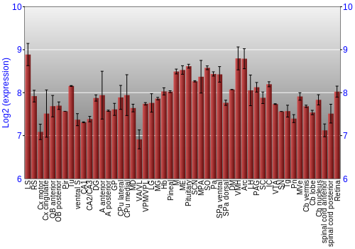 Expression graph