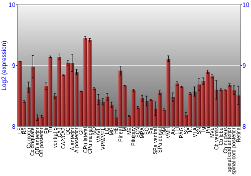 Expression graph