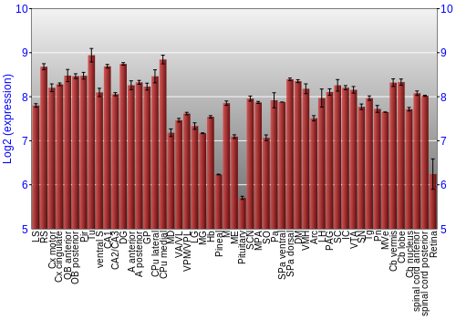 Expression graph