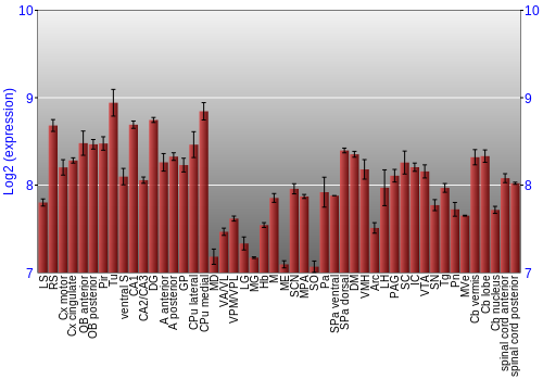 Multi-state expression graph