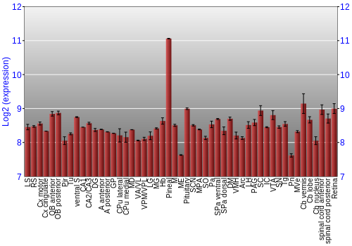 Expression graph
