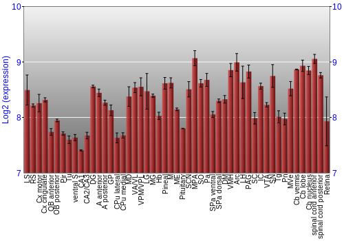 Expression graph