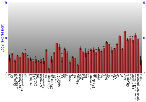 Expression graph