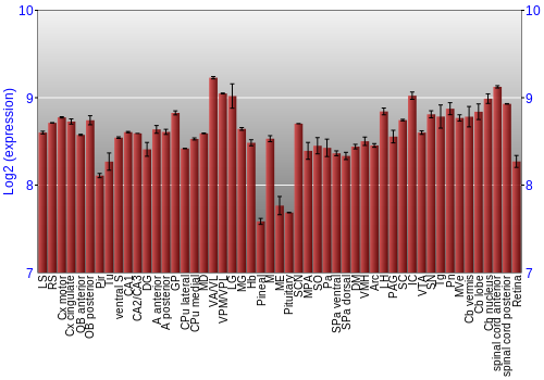 Expression graph
