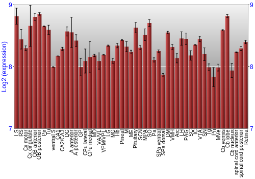Expression graph