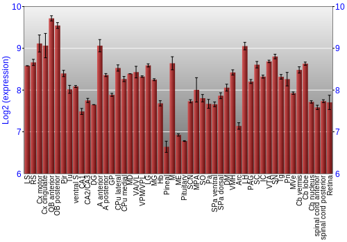 Expression graph