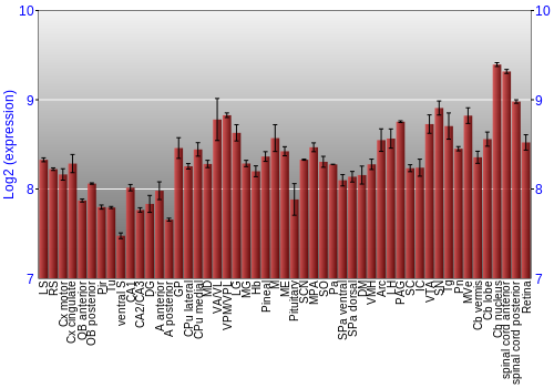 Expression graph