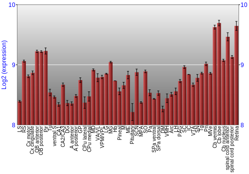 Expression graph