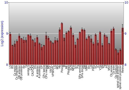 Expression graph