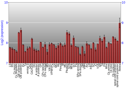 Expression graph