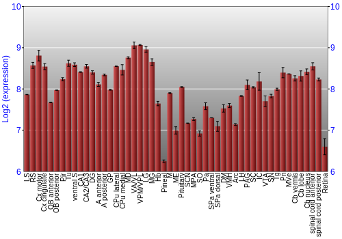 Expression graph