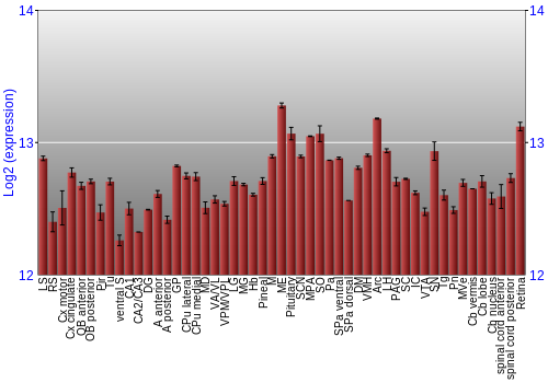 Expression graph