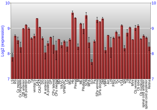 Expression graph