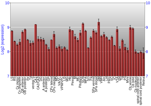 Expression graph