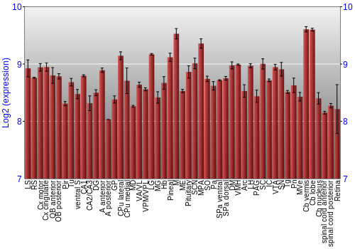 Expression graph
