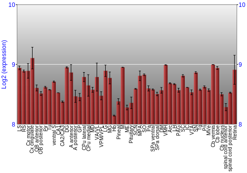 Expression graph