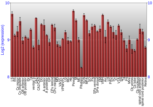 Expression graph