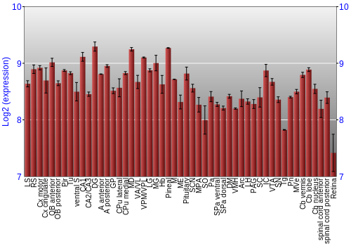 Expression graph