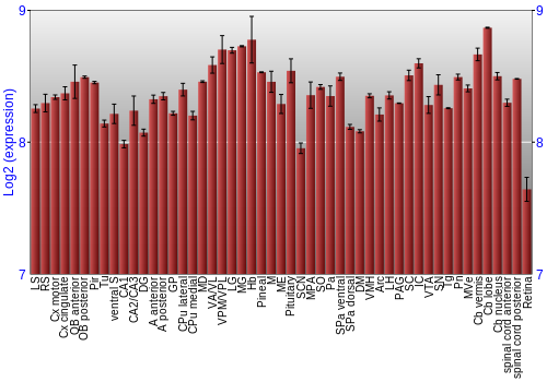 Expression graph
