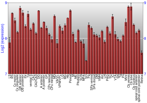 Expression graph