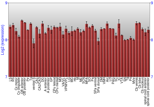 Multi-state expression graph