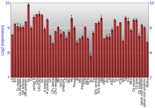 Expression graph