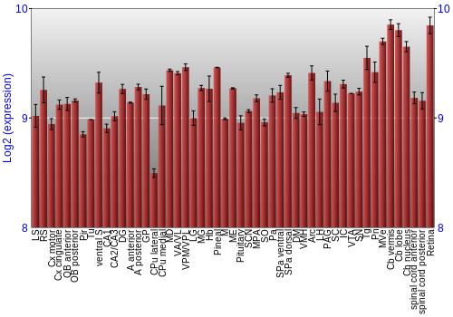 Expression graph