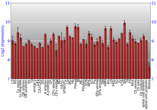 Expression graph
