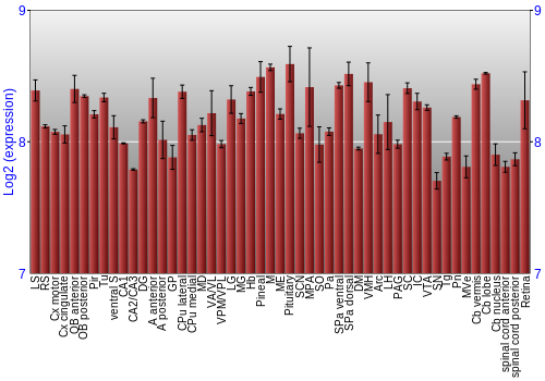 Expression graph