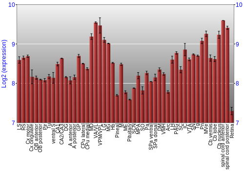 Expression graph