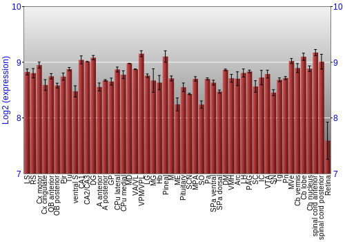 Expression graph