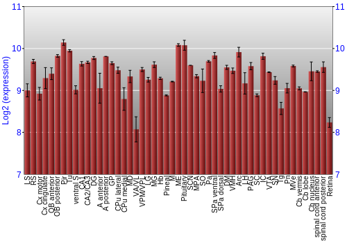 Expression graph