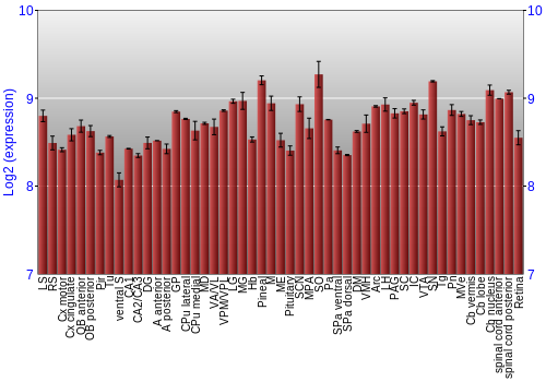Expression graph