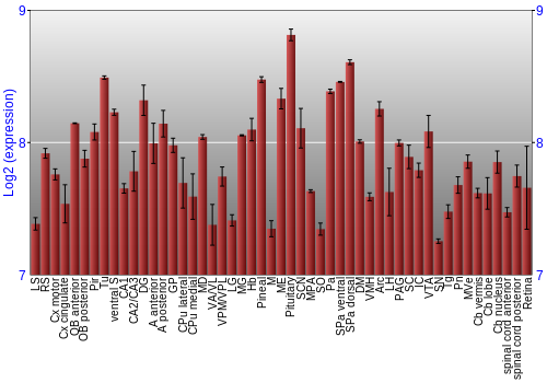 Expression graph