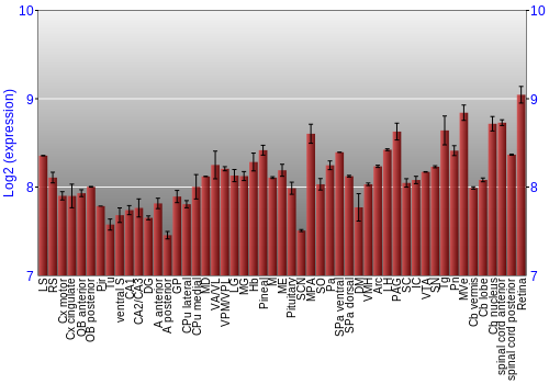 Expression graph