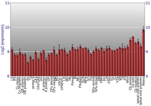 Expression graph