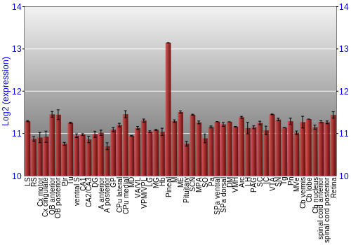 Expression graph