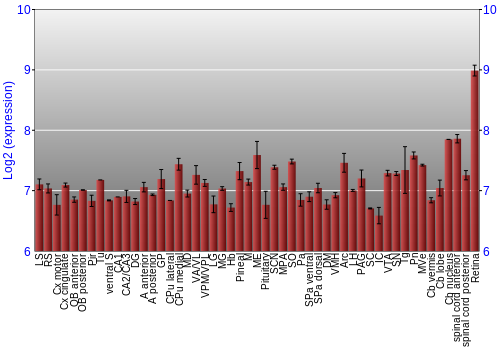 Expression graph