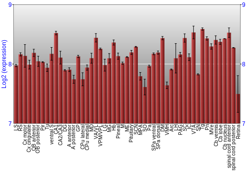 Expression graph