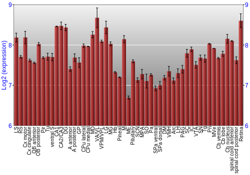 Expression graph