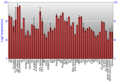 Expression graph