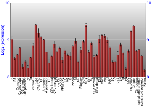 Expression graph